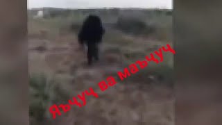 Гӯё ин аз қавмӣ яъҷуҷ ва маъҷуҷ бошад