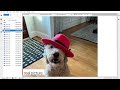 red hat openshift ai demo