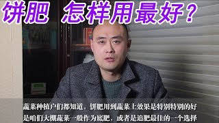 很多农民种菜都用种菜，可你知道怎样用最好？为了高产，一定要看【付老师种植技术团队】