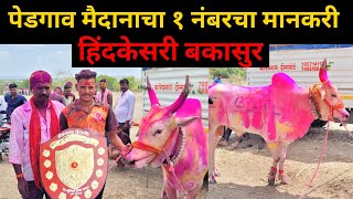 पेडगाव मैदानाचा १ नंबरचा मानकरी हिंदकेसरी बकासुर मुलाखत |bakasur| |pedgaon maidan|