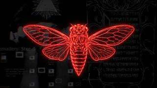 Cicada 3301: Hidden In Plain Sight