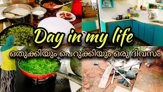 കുറേ നാളിനു ശേഷം ഒരു #dayinmylife 🥰അടിപൊളി ഉച്ചയൂണും cleaning day🥰