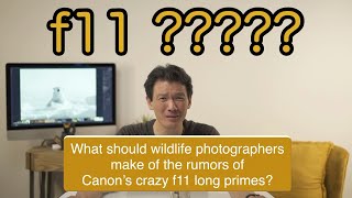 What should wildlife photographers make of the rumors of Canon’s crazy f11 long primes?