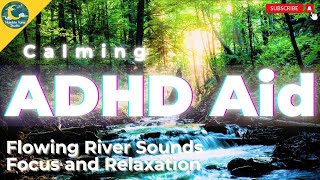 🌎 Riverside Bliss 🌎  | 8 Hours of Gentle River Sounds for #relaxation #study #yoga #asmrsleep #adhd