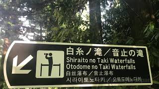 Shiraito and Otodome Falls