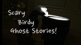 Einstein’s Scary Birdie Ghost Stories 👻 Halloween 2014