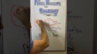 Understanding Pulse Pressure