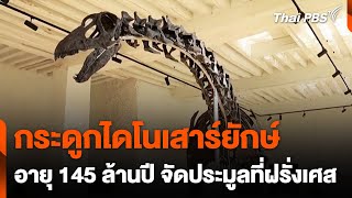 ประมูลกระดูกไดโนเสาร์ยักษ์ที่ฝรั่งเศส | สีสันทันโลก | 16 พ.ย. 67