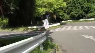 【公園探索動画 / SONY FDR-AX100】 愛知県森林公園（愛知県尾張旭市）を探索してみた PART2