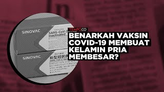 Benarkah Vaksin Covid-19 Beri Efek Samping Besarkan Kelamin?