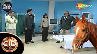 Hospital के Bed पर मिला घोड़े का बाल, CID हैरान? || CID | सीआईडी | CID New Full Episode