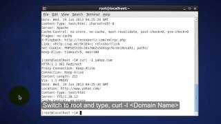 Fetch HTTP headers with curl