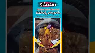 కళ్లు తెరిచిన మహాలక్ష్మి అమ్మవారి విగ్రహం | Kadiyapulanka Mahalakshmi Ammavaru |