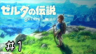 【実況】ゼルダの伝説BotW　＃１　【ケンカ売る相手を間違えた】