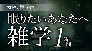 【睡眠導入】眠りたいあなたへ雑学1時間【女性朗読】