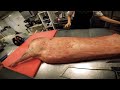 pov butchering a pig for a restaurant