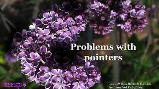 2 05 Problems with pointers
