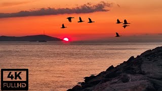 Relaxing sunset video | 30 min of Fascinating Sunset with Calming Waves Sounds (4K UHD)