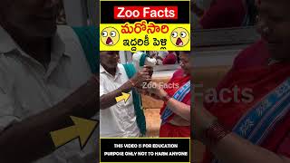 😮మరోసారి పెళ్లి😮 Grand parents get married again #amazingfacts #zoofacts #shorts