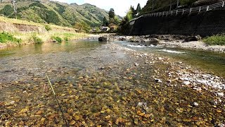 里川で渓流ルアーのち果樹苗植え付けとヤマメと山菜の夕食