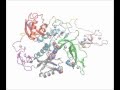 Site-specific Interaction Mapping of Phosphorylated Ubiquitin to Uncover Parkin Activation