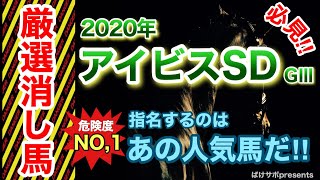 アイビスSD 【GⅢ】厳選消し馬　今回指名するのはあの人気馬！？　2020