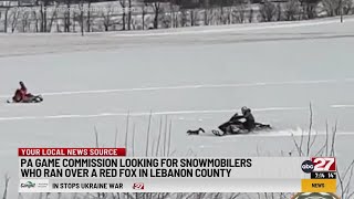 Pa. Game Commission seeking snowmobilers accused of striking red fox