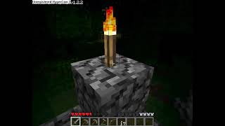 Minecraft: Salmo