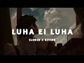 Luha Ei Luha Odia (Slowed+Reverb) Lofi Song | Humane Sagar | #odialofisong