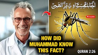 The Miracle of Mosquitoes in the Quran | WHAT DOES SCIENCE SAY?