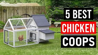 Top 5 Best Chicken Coops in 2026 | Best Chicken Coop (Buying Guide)