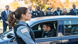 What Really Happened to Marina Squerciati - Kim Burgess from Chicago P.D | Celebrity News