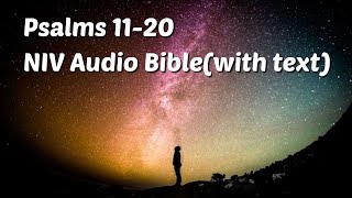 Psalms 11-20: NIV Audio Bible(with text)