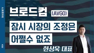 브로드컴 (AVGO) - 잠시 시장의 조정은 어쩔수 없죠