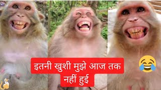 Monkeys React To Magic ✨🐒🦧 Funny Animal's Video  #29 #viral #funny #animal