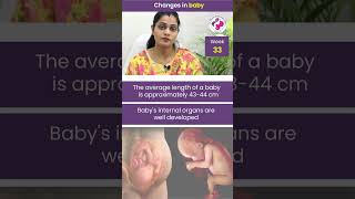 Baby Changes in the 33rd Week of Pregnancy-33वें सप्ताह में बच्चे के अंदर होते हैं महत्वपूर्ण बदलाव