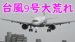 台風 9号【 強い斜め後ろ横風 大揺れフラフラ着陸集 】8.9 伊丹空港 32L