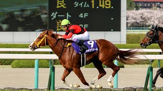 【現地】大阪杯 ジャックドール ターフビジョン前最前列