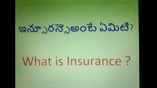 What is Insurance? in Telugu