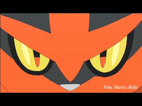 Ash S Litten Evolves Into Torracat Youtube