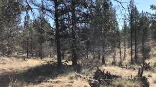 4.5 lots Ochoco West