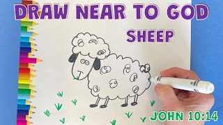 Draw Near to God - Sheep lesson - John 10:11-18