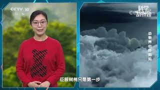 《科学动物园》 20221119 动物界的好妈妈|CCTV科教