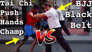 BJJ vs Tai Chi? Black Belt Jason Bukich vs. Coach Jan's Push Hands Rooting Drill (friendly training)