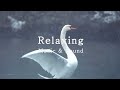 3HRS - The Swan (Saint-Saëns), Most Peaceful & Beautiful Piano Music, Relaxing Piano, Poetic, Calm