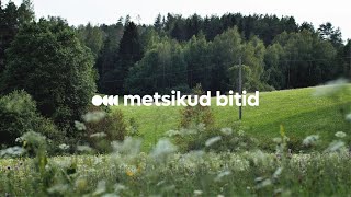 Metsikud bitid / Wild Bits