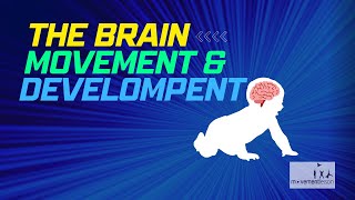 The Brain, Movement, and Development - For Worried Parents