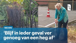 Onkruid branden gaat vaak mis: hoe kun je brand tegengaan? | L1 Nieuws