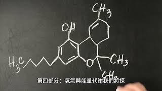 「氧氣的重要性：為什麼氧氣對我們的生存至關重要？」#oxygen #important #life #key #element