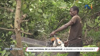 NCI Reportages | Parc National de la Marahoué : Quand prendra fin l’invasion ?